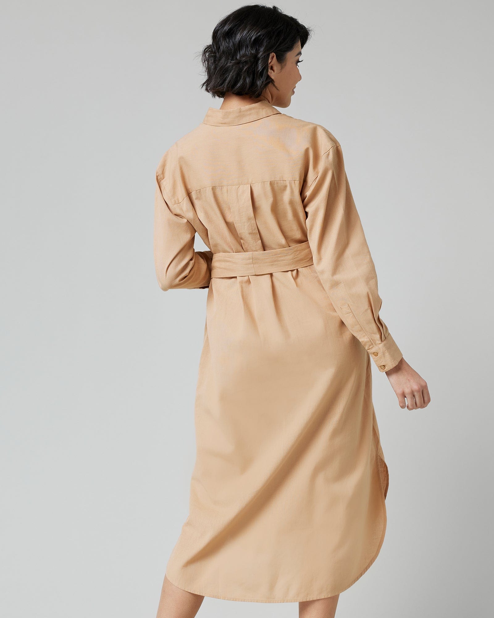 Petra Buttondown Dress – Downeast